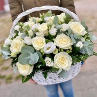 Солнечный зайчик в тени Солнечный зайчик в тени
