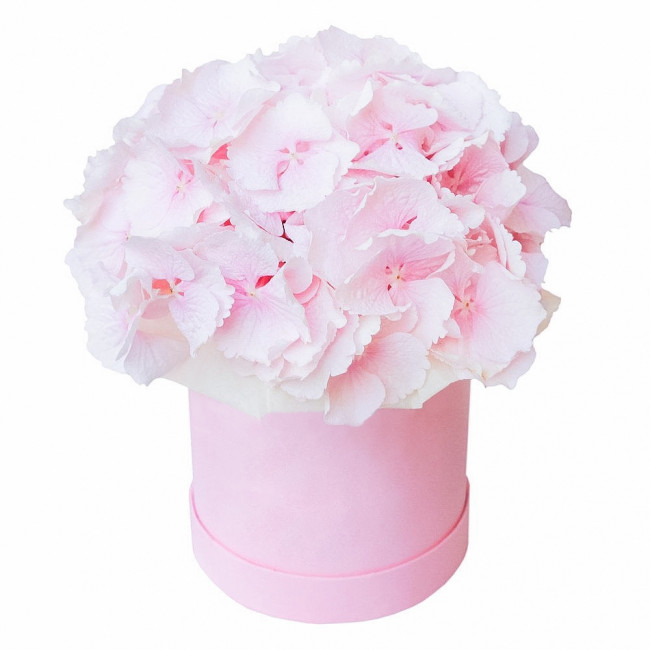 Букет цветов "Шляпная коробка из гортензий "